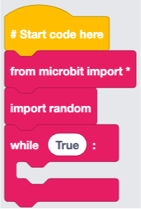 Creating a while loop