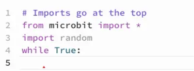 Creating a while True loop